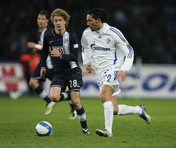 维蒂尼亚的 维蒂尼亚的