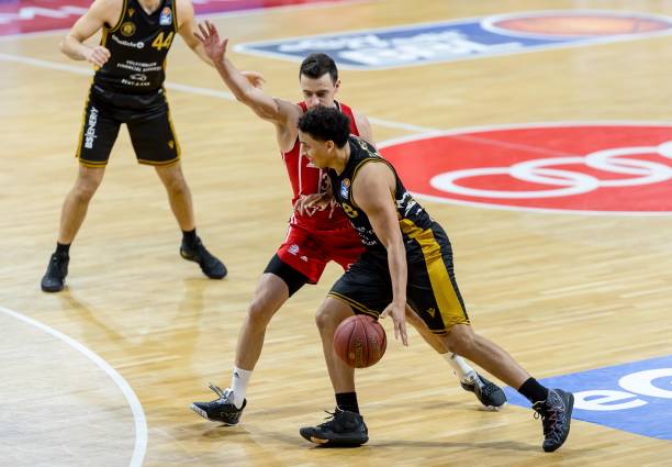 德约科维奇 德约科维奇